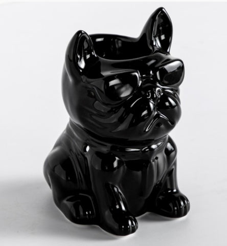 Geurbrander Frenchie